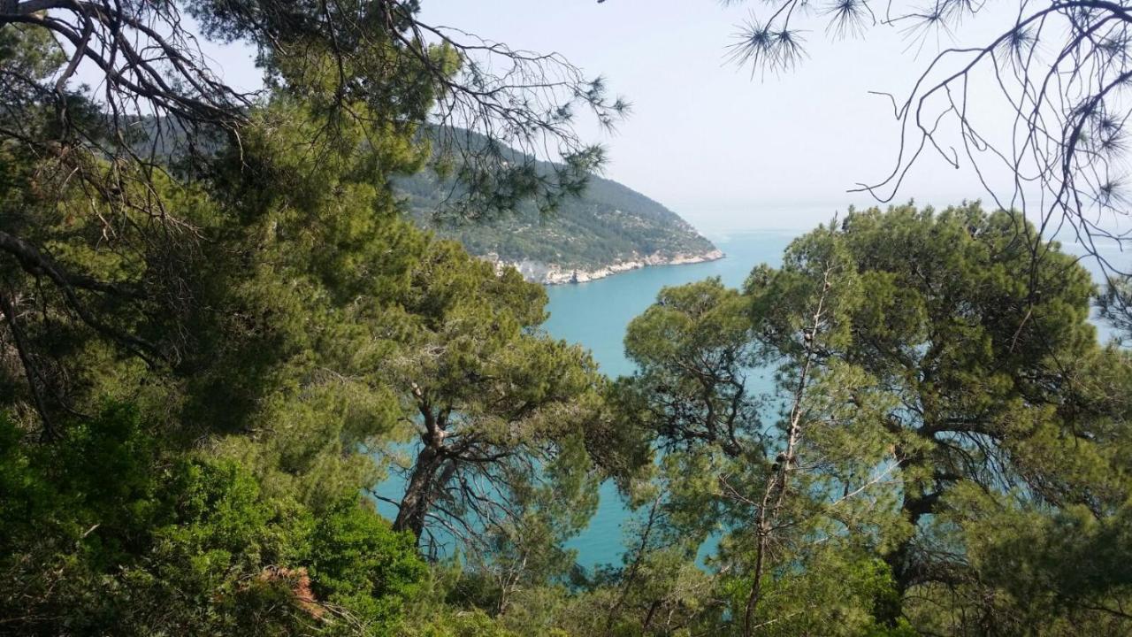 Olive&Sea Villa-Sea Mattinata Extérieur photo