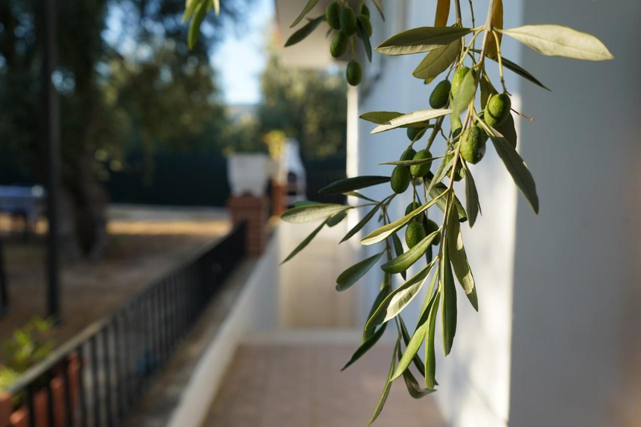 Olive&Sea Villa-Sea Mattinata Extérieur photo