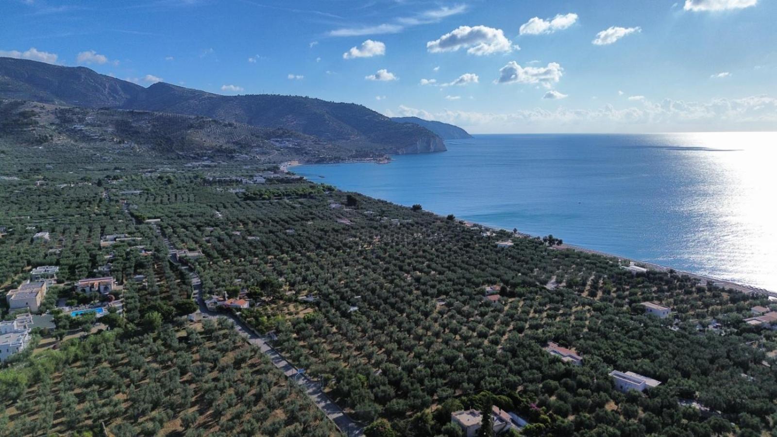 Olive&Sea Villa-Sea Mattinata Extérieur photo